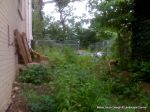 BEFORE: Property was new built care home grounds were very overgrown and neglected  