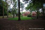 BEFORE: The grounds were overgrown with laurels, diseased trees and shrub it was very dark and gloomy  