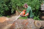 Before: The bark is carefully removed by our tree surgeon/carver