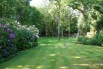 AFTER: Overgrown shrub, laurels and diseased trees were carefully cut back and removed, protected mighty oaks were carefully reduced and thinned with dead wood removed allowing lots more light, Open chainlink fence installed around boundary