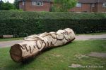 After: This mighty oak trunk is given a new lease of life with a beautifully carving of a woodland wildlife scene including butterflies, beetles oak leafs and acorns for the children of the nursery to enjoy for many generations to come. 