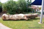 After: This mighty oak trunk is given a new lease of life with a beautifully carving of a woodland wildlife scene including butterflies, beetles oak leafs and acorns for the children of the nursery to enjoy for many generations to come. 