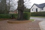 Natural stone brick walls with crease tile to finish