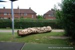 This mighty oak trunk was given a new lease of life with a beautifully carving of a woodland wildlife scene for the children of a school nursery to enjoy for many generations to come.